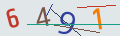 verifycode